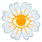 gelbe Blüte + Auge