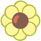 gelbe Blüte + Avocado