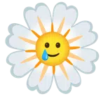 gelbe Blüte + lachendes Gesicht mit Träne