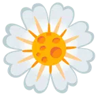 gelbe Blüte + Käsestück