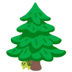 Schildkröte + Nadelbaum