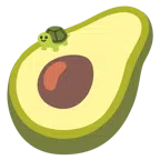 Schildkröte + Avocado
