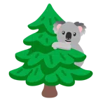 Koala + Nadelbaum