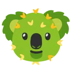 Koala + Kaktus