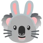 Koala + Hasengesicht
