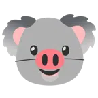 Koala + Schweinegesicht