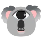 Koala + Auge