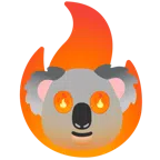 Koala + Feuer