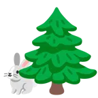 Hasengesicht + Nadelbaum