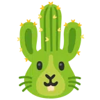 Hasengesicht + Kaktus