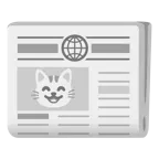 Katzengesicht + Zeitung