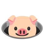 Schweinegesicht + Loch