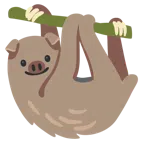 Schweinegesicht + Faultier