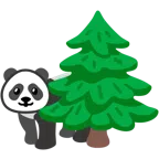 Panda + Nadelbaum