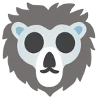 calavera + león