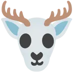 calavera + ciervo