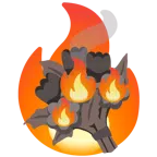 ramo de flores + fuego