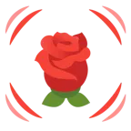 schlagendes Herz + Rose