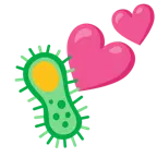 dos corazones + microbio