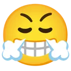 beaming face with smiling eyes + face with steam from nose