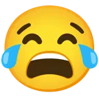 face with tears of joy + tired face
