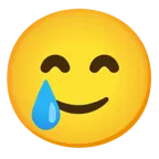 grinning face with smiling eyes + smiling face with tear