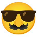 lächelndes Gesicht mit Sonnenbrille + verkleidet