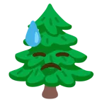 downcast face with sweat + evergreen tree