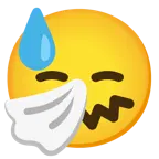 downcast face with sweat + sneezing face