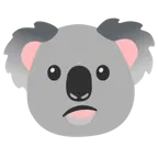 zdezorientowana twarz + koala