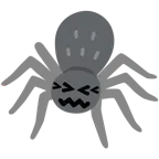 cara de frustración + araña