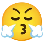 وجه يقبّل + وجه بأنف يصدر بخارًا