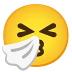 وجه يقبّل + وجه يعطس