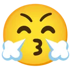 وجه يقبّل بعينين باسمتين + وجه بأنف يصدر بخارًا