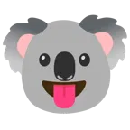 dil dışarıda + koala
