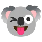 dili dışarda göz kırpma + koala