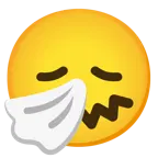 disappointed face + sneezing face