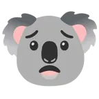 cara preocupada + koala