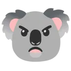 angry face + koala
