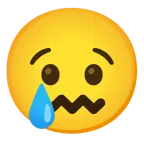 cara llorando + cara de frustración