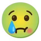 cara llorando + cara de náuseas