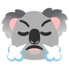 face with steam from nose + koala