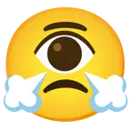 face with steam from nose + eye
