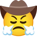face with steam from nose + cowboy hat face