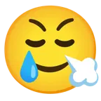face with steam from nose + smiling face with tear