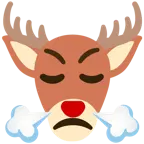 face with steam from nose + deer