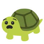 udręczona twarz + żółw