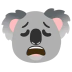 erschöpftes Gesicht + Koala