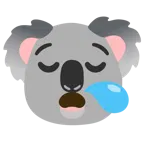 uykulu yüz + koala