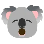 zdumiona twarz + koala